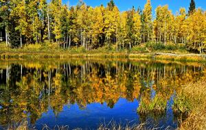 Stunning Contemporary Telluride Residence - Mountain Village, Colorado