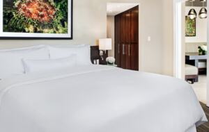 Westin St. John 2 Bedroom Villa - St. John, Virgin Islands, U.S.