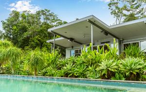 The Daintree near Byron Bay - Cudgera Creek, Australia