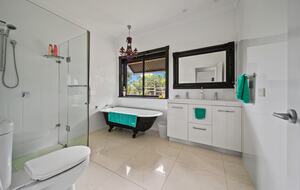 The Daintree near Byron Bay - Cudgera Creek, Australia