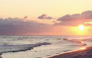 Steps from the Sand | A Tasteful Beachside Retreat - Miramar Beach, Florida