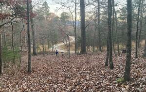 Tranquil Cabin Hideaway Near Wardensville’s Charm - Wardensville, West Virginia