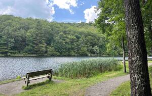 Tranquil Cabin Hideaway Near Wardensville’s Charm - Wardensville, West Virginia