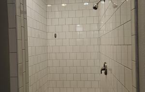Master Walk-in Shower