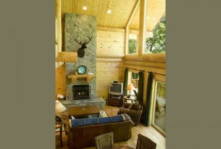 Beautiful Smoky Mountain Log Home - Bryson City, North Carolina