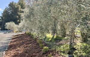 Petaluma One of a Kind Vineyard Residence - Petaluma, California