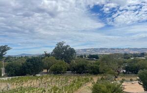 Petaluma One of a Kind Vineyard Residence - Petaluma, California