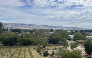 Petaluma One of a Kind Vineyard Residence - Petaluma, California