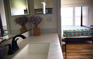 Petaluma One of a Kind Vineyard Residence - Petaluma, California