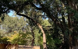 Elegant Napa Getaway with Poolside Views and Wine Country Charm - Napa, California