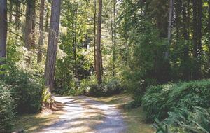Secluded Nature Haven Just Minutes from Seattle - Vashon, Washington