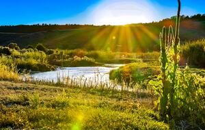 Riverside Majesty | An Elegant Escape in Panguitch - Panguitch, Utah