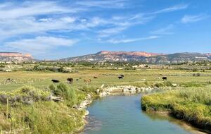 Riverside Majesty | An Elegant Escape in Panguitch - Panguitch, Utah