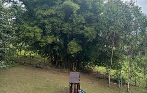 Exquisite Modern Villa with Panoramic Lake Views - Calima, Colombia