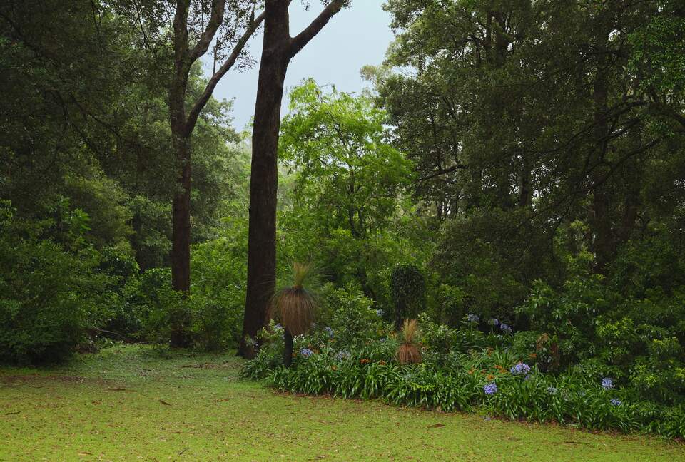 Elegant Countryside Escape with Unparalleled Natural Beauty - Jamberoo, Australia