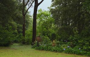 Elegant Countryside Escape with Unparalleled Natural Beauty - Jamberoo, Australia