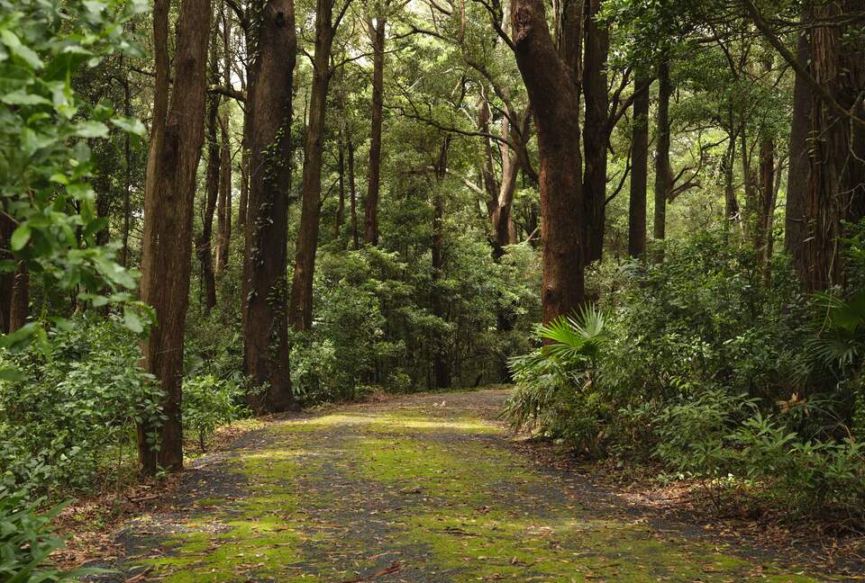 Elegant Countryside Escape with Unparalleled Natural Beauty - Jamberoo, Australia