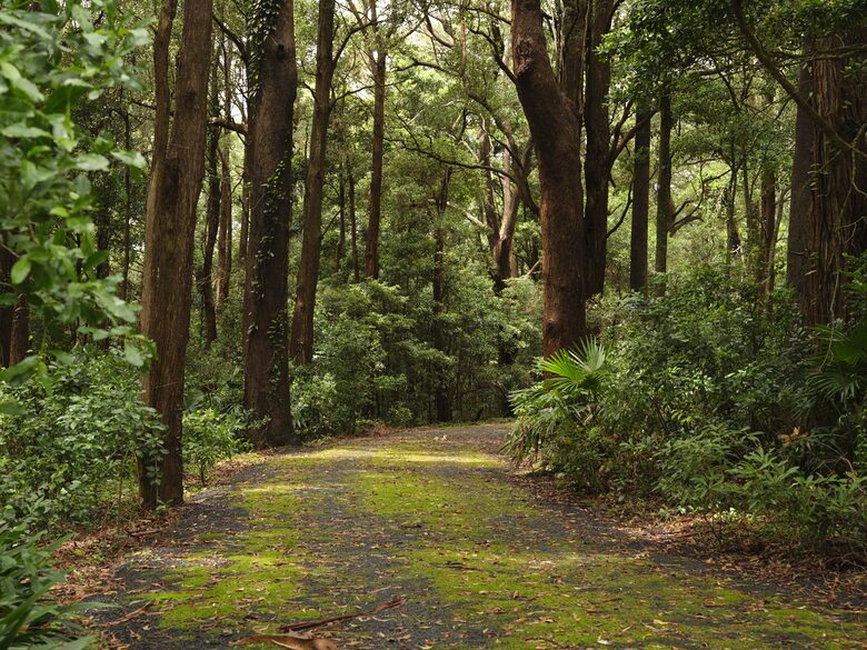 Elegant Countryside Escape with Unparalleled Natural Beauty - Jamberoo, Australia