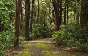 Elegant Countryside Escape with Unparalleled Natural Beauty - Jamberoo, Australia