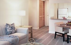 Calm Oasis in New York City - New York, New York