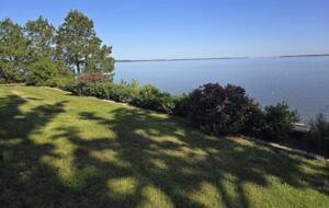 Yard off back deck before terraces go down the hill