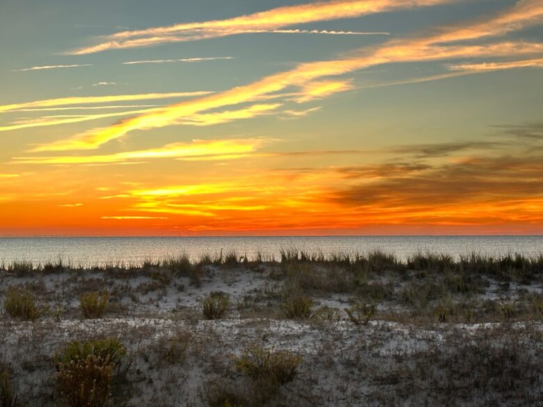 Oceanfront Elegance | A Coastal Retreat in Ocean City - Ocean City, New Jersey