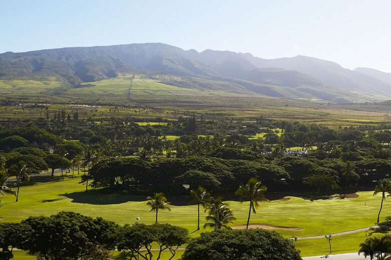 Mountain Serenity at Kaanapali Alii - Lahaina, Hawaii