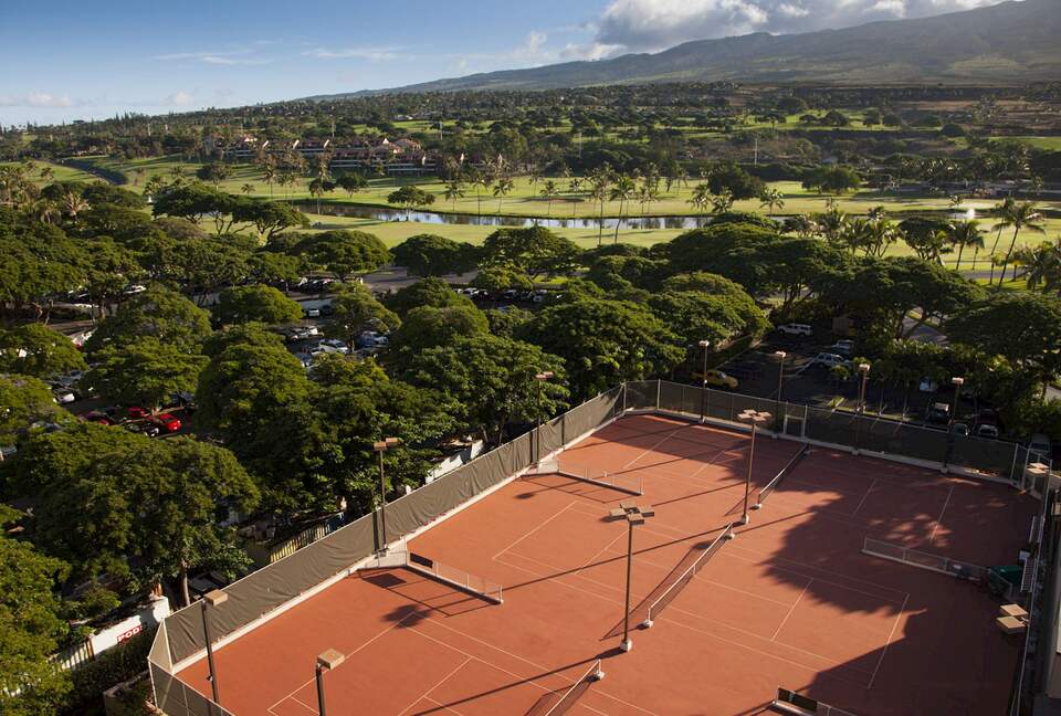 Mountain Serenity at Kaanapali Alii - Lahaina, Hawaii