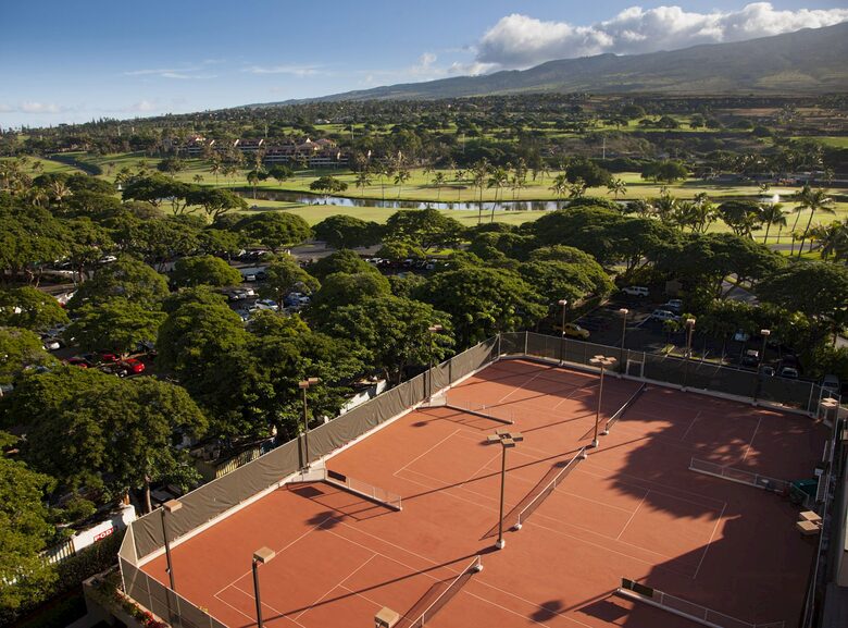 Mountain Serenity at Kaanapali Alii - Lahaina, Hawaii