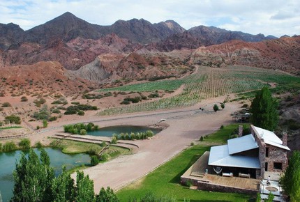 ARGENTINIAN MOUNTAIN REFUGE WITH 5 PRIVATE VINEYARDS - Uspallata, Argentina