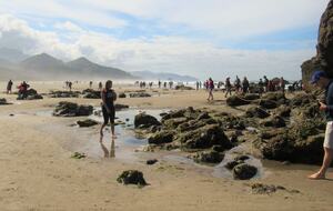 Beachfront Escape Overlooking Haystack Rock - Cannon Beach, Oregon