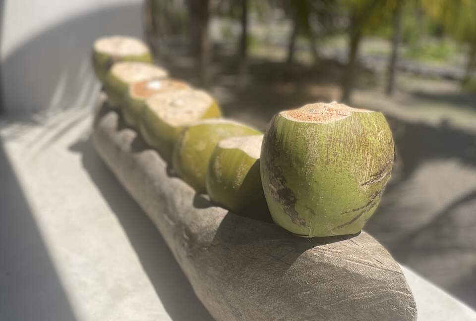 Boho Bliss Retreat, a Gourmet Escape - Chiquimulilla, Guatemala