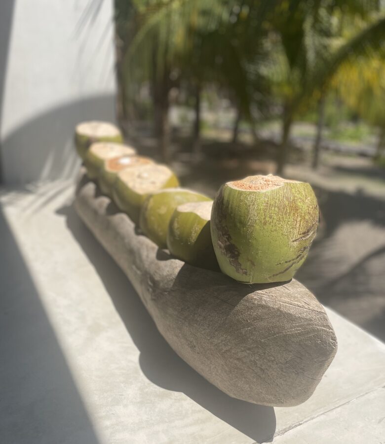 Boho Bliss Retreat, a Gourmet Escape - Chiquimulilla, Guatemala