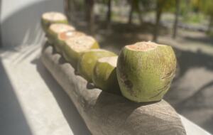 Boho Bliss Retreat, a Gourmet Escape - Chiquimulilla, Guatemala