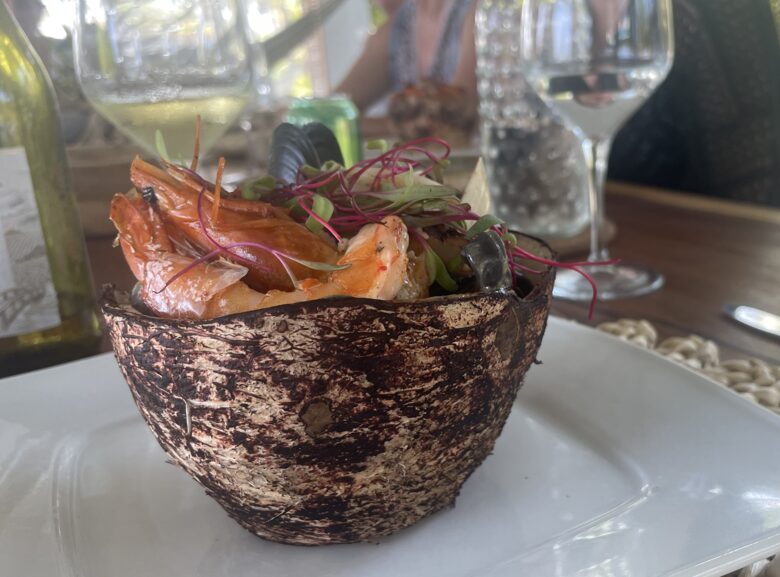 Boho Bliss Retreat, a Gourmet Escape - Chiquimulilla, Guatemala