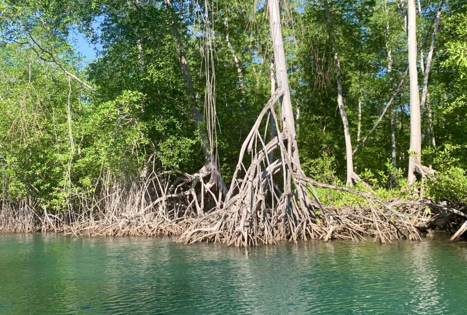 Boho Bliss Retreat, a Gourmet Escape - Chiquimulilla, Guatemala