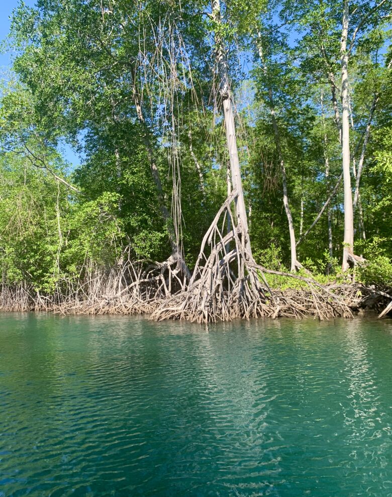 Boho Bliss Retreat, a Gourmet Escape - Chiquimulilla, Guatemala