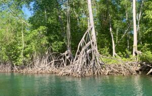 Boho Bliss Retreat, a Gourmet Escape - Chiquimulilla, Guatemala