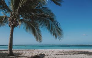 Luxury Living Above the Caribbean | Exclusive Penthouse Experience - Noord, Aruba