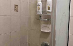 Light-Filled Brooklyn Flat with Artistic Flair - Brooklyn, New York