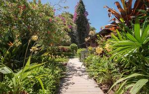 Walk way to Front Door from Carport side
