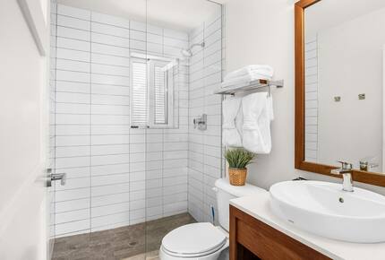 Guest bathroom and shower