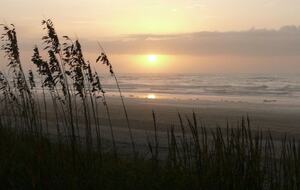 Cottage on Kiawah Island - Kiawah Island, South Carolina
