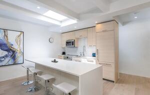 Sophisticated Aspen Retreat with Breathtaking Mountain Views - Aspen, Colorado