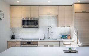 Sophisticated Aspen Retreat with Breathtaking Mountain Views - Aspen, Colorado