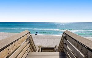 The Shell Seeker - Santa Rosa Beach, Florida