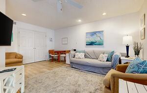 The Shell Seeker - Santa Rosa Beach, Florida