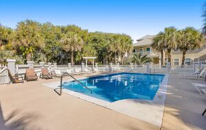 The Shell Seeker - Santa Rosa Beach, Florida
