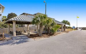 The Shell Seeker - Santa Rosa Beach, Florida