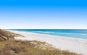 The Shell Seeker - Santa Rosa Beach, Florida